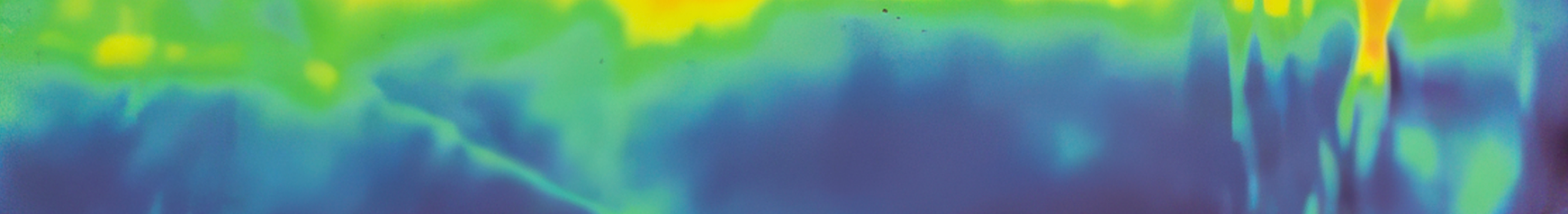 An abstract wash of green, yellow and violet light